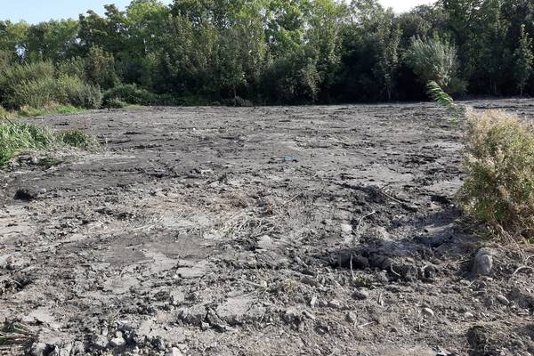 Ecologists outraged as Dublin nature reserve is ‘flattened like a car park’