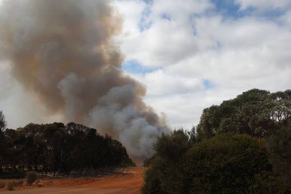 Australian bushfires: Two fires merge close to Victoria border
