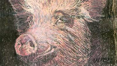 Happy as a pig on straw: the difference good animal husbandry makes