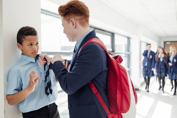 Appearance and race top reasons for bullying of schoolchildren