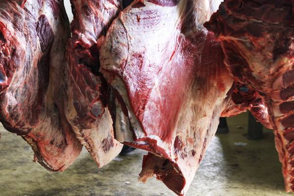 Meat comes at too high a price, author argues