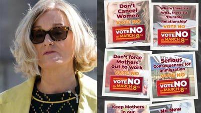 Senator’s No-No referendum posters contain ‘factual misrepresentation’ - Electoral Commission