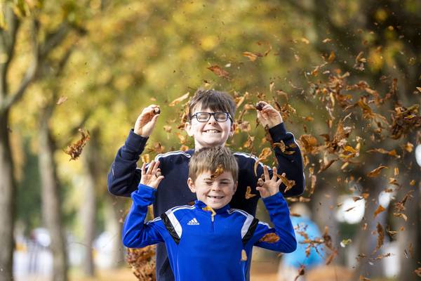Goodbye conkers? Our personal relationships with nature are endangered
