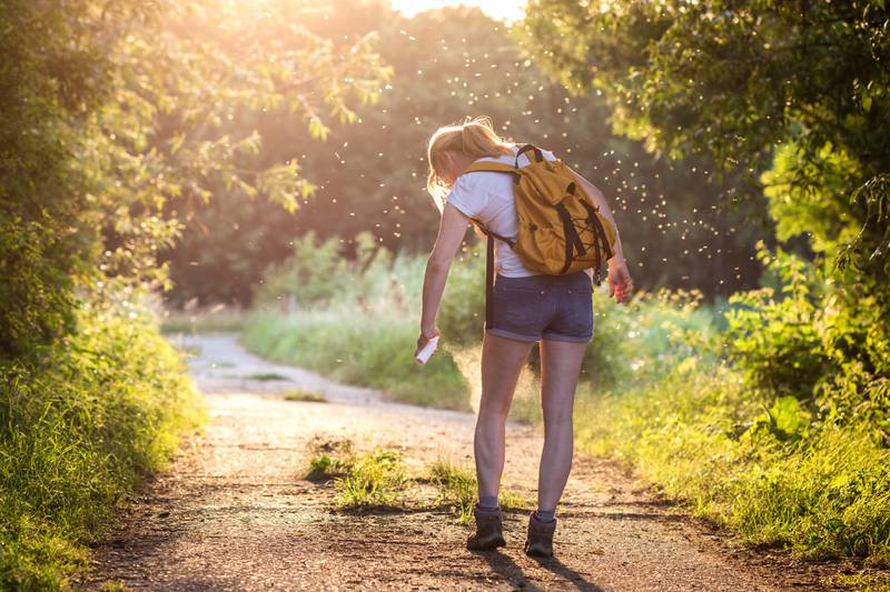 How to spot if your child has a tick bite and  what to do