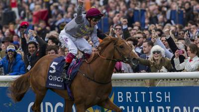 Galileo Gold takes 2,000 Guineas as Air Force Blue fails to take off
