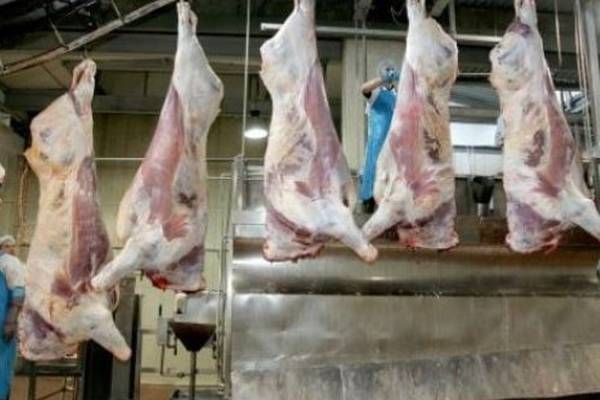 Closure of meat plants in pandemic could have ‘resulted in food shortages’, PAC told