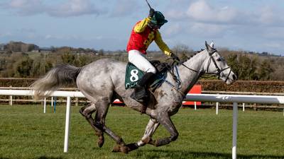 Hogan hopes Young Dev can go the distance in gruelling Midlands Grand National