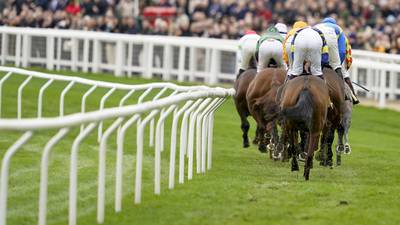 Decision taken to water new course ahead of Cheltenham festival
