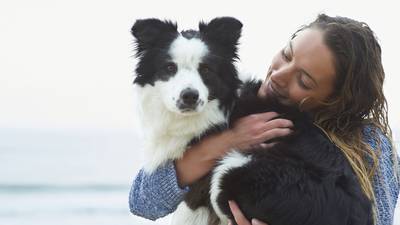 Hugging your dog makes them unhappy, research shows