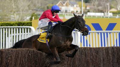 Punchestown Gold Cup: Rare talent Allaho favourite to do it over three miles