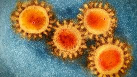 Twin pandemic of Covid-19 and flu ‘not a certainty’ this winter