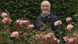 Blooming lovely: the annual rose festival