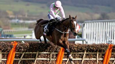 Willie Mullins delighted with Vautour’s Leopardstown workout