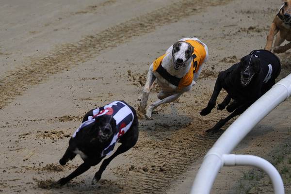 Greyhound racing to start at 8.18am in Kilkenny and Waterford