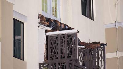 Berkeley balconies not constructed to hold large numbers, says preservation expert