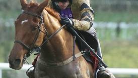 Yorkhill made to work but eases over for Mullins and Walsh