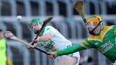 Ballyhale  Shamrocks win completes ‘best year’ yet for Kilkenny hurling