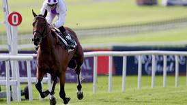 Jim Bolger’s Verbal Dexterity on course for Dewhurst Stakes