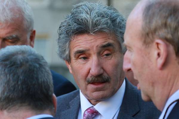 Halligan’s brother defends Minister, says €7,500 award ‘fundamentally wrong’