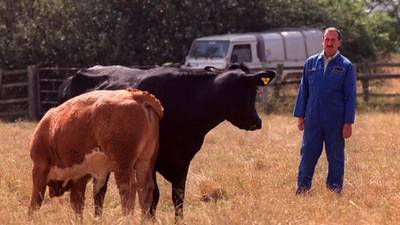 Social farming could save health services money, conference hears