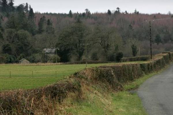 Plans to allow limited roadside hedge cutting scrapped