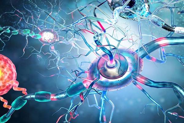 Potential treatment for Huntington’s disease discovered by NUIG researchers