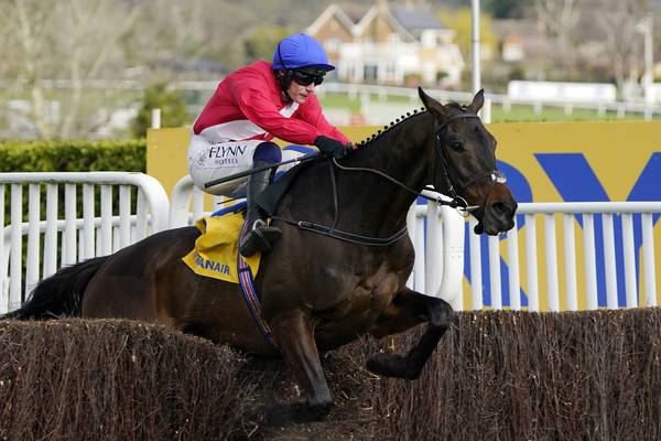 Punchestown Gold Cup: Rare talent Allaho favourite to do it over three miles