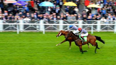 Mob-handed Koukash takes Chester Cup