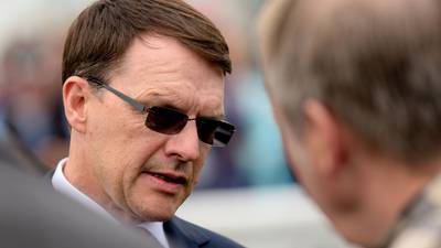 Cliffs Of Moher to line up alongside Churchill at York