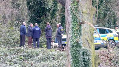 Garda search for evidence about missing Icelandic man ends in north Dublin