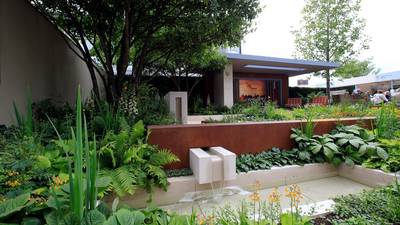 Medals for Irish designers at Chelsea Flower Show