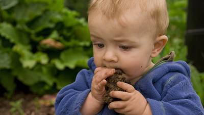 Eat dirt? Why on earth would you do that