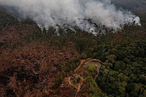Amazon deforestation soars to 11-year high under Bolsonaro
