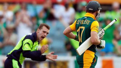 Green shoots still emerging despite disappointing defeat to South Africa
