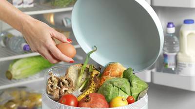 Families could save €60 a month by wasting less food, report says