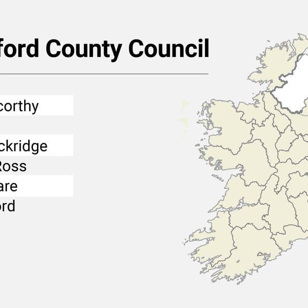 Local Elections: Wexford County Council candidate list 