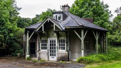 Airbnb-style let plan for Phoenix Park scrapped