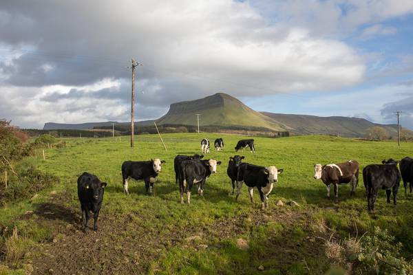 Sligo: An insider’s guide to the best walks, beaches, food, drink and activities