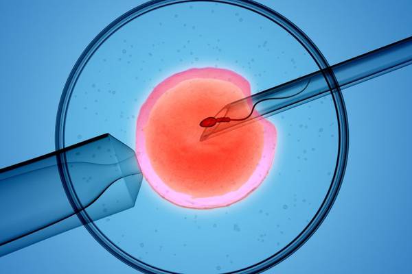 Government  to pay for couples to have IVF treatment