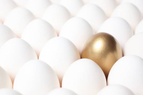 Nest egg choices are limited if you’re averse to taking a risk