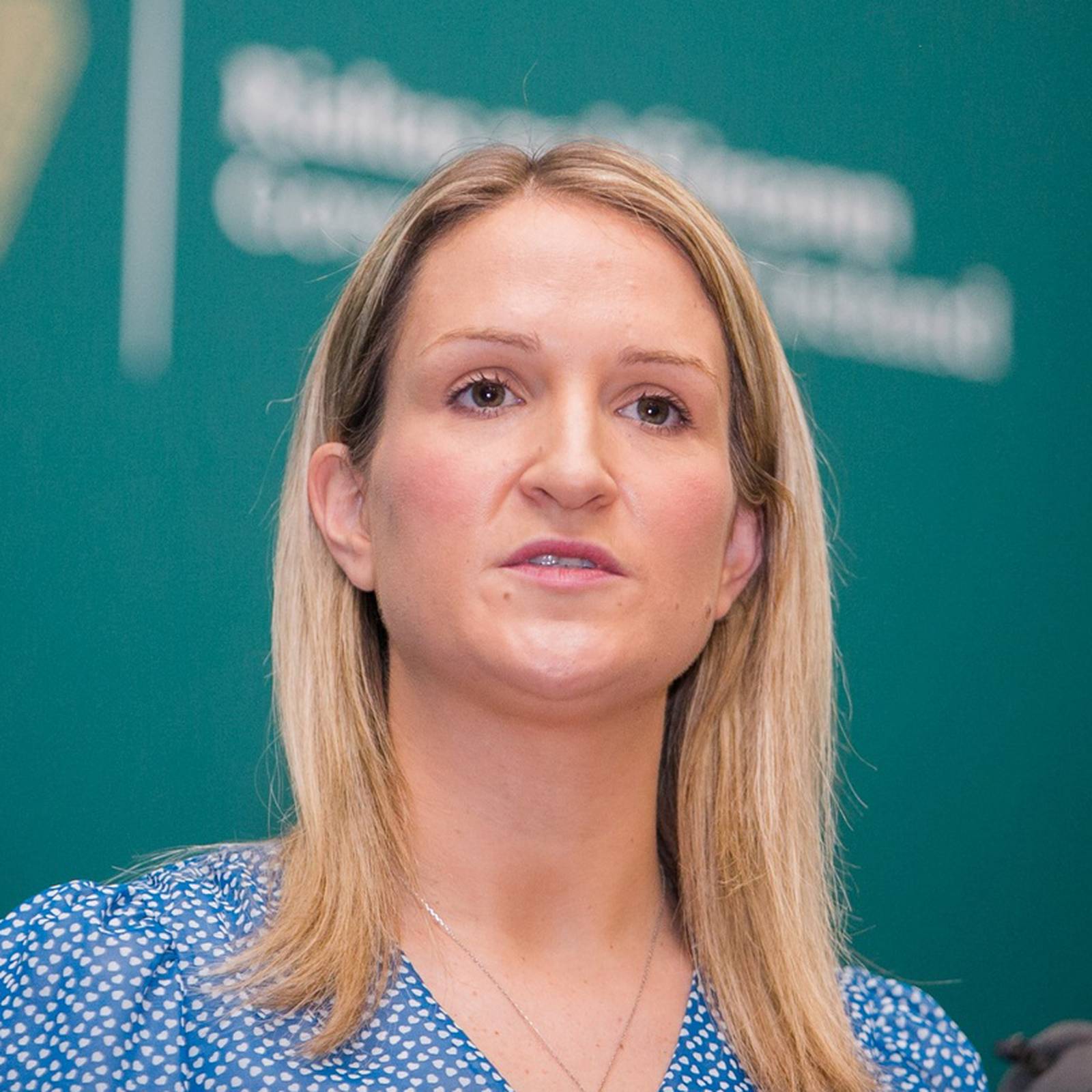 Fionnán Sheahan: Forcing Helen McEntee to resign for having a baby