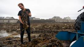 What I Do:  The Enniscrone seaweed harvester