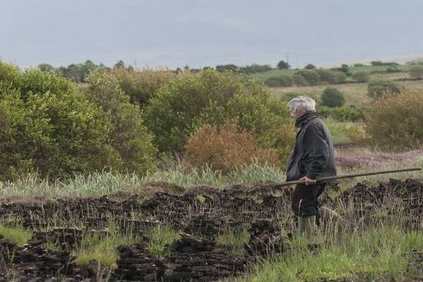 Criticism of failure to introduce ban on selling turf gradually