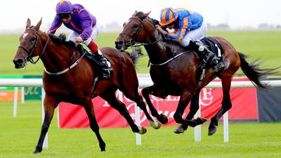 Order Of St George handed top weight for Melbourne Cup