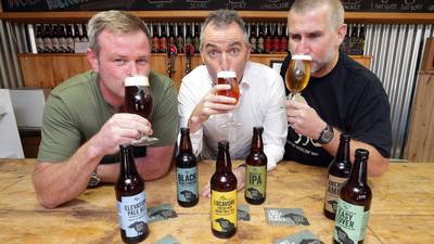 Wicklow Wolf brewery raises €2m to take on 20 extra staff