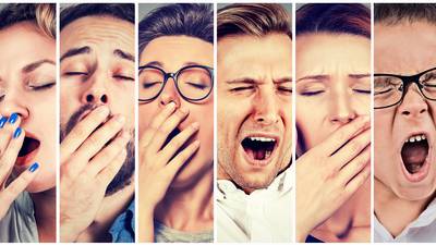 ‘The silent scream’: why do we yawn?