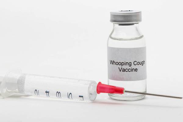 Pregnant? Get the flu and whooping cough vaccinations