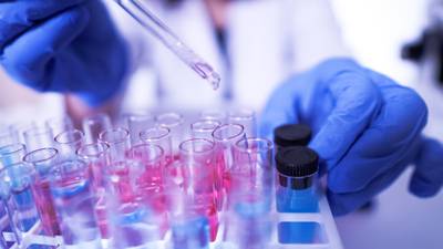Medical laboratory scientists may strike over pay