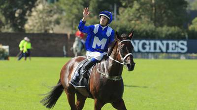 Connections of Winx decide to duck Ascot challenge