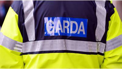 Devices for instant roadside checks to be issued to 2,000 gardaí